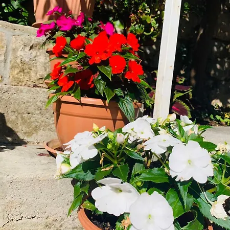 Riva Mošćenička Draga